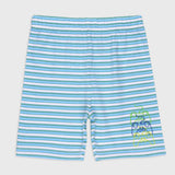 Blue & Green Stripes Set